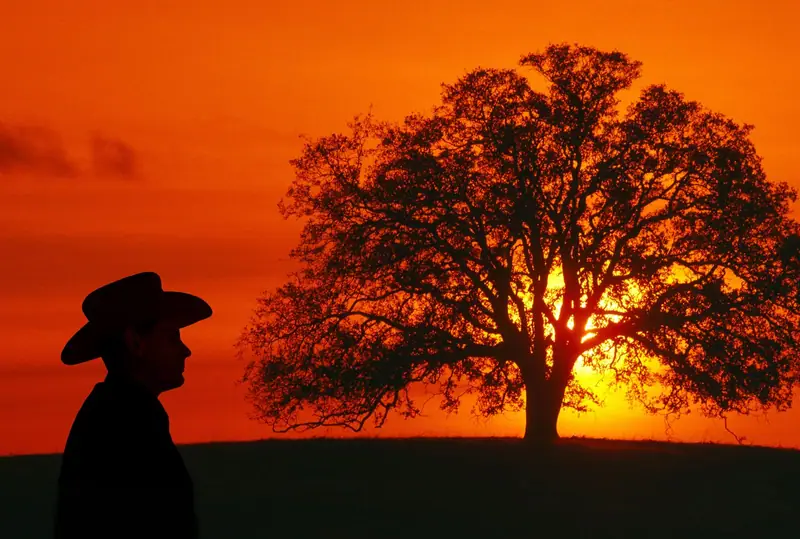 Case Study: Bringing Client Visions to Life in Stanislaus County